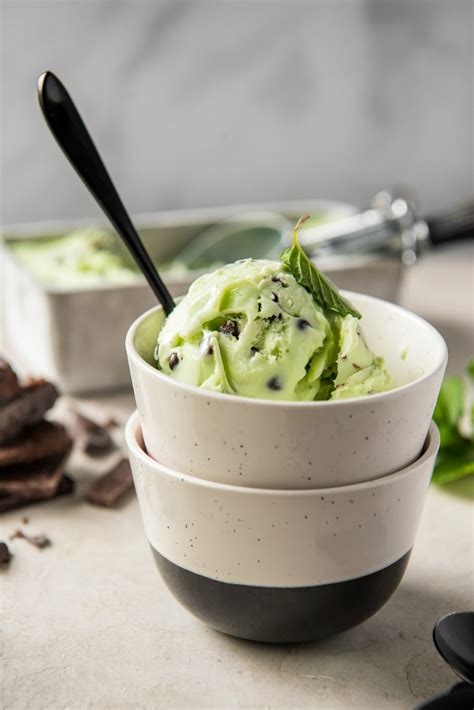 Hello friends, today i'm sharing with you very tasty butterscotch ice cream recipe. Low Fat Mint Chocolate Chip Ice Cream