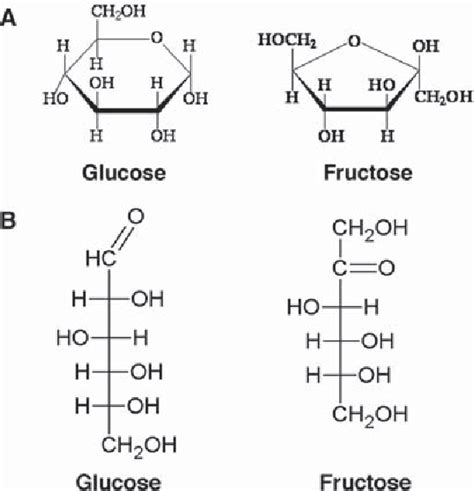 Figure 1 From The Role Of Fructose In Metabolism And Cancer Semantic