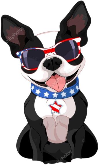 Chilled K9 Joint Chews | Boston terrier art, Boston terrier funny, Boston terrier dog
