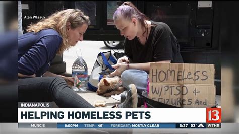 Helping Homeless Pets Youtube