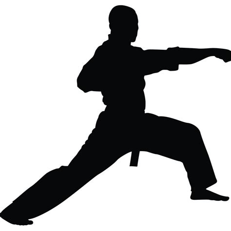 Martial Arts Flying Kick V2 Karate Kung Fu Wall Sticker Decal World Of