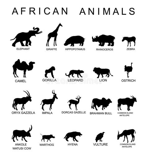 Big Five African Animals Vector Stock Illustrations 104 Big Five