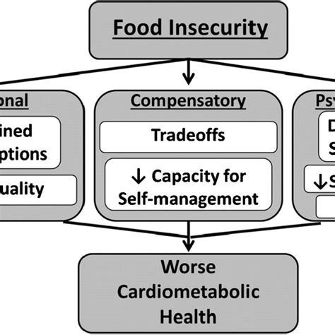 Conceptual Model Of The Relationship Between Food Insecurity And Download Scientific Diagram