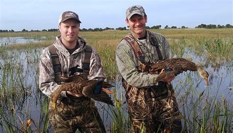 Florida Waterfowl Hunting Guides And Waterfowl Outfitters Florida Duck