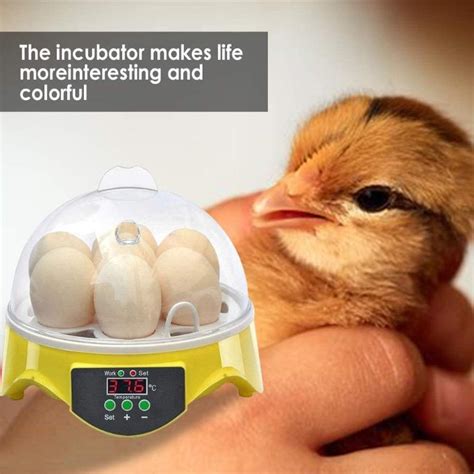 kosiejinn eggs incubators 7pcs egg incubators for hatching eggs fully automatic chick brooder