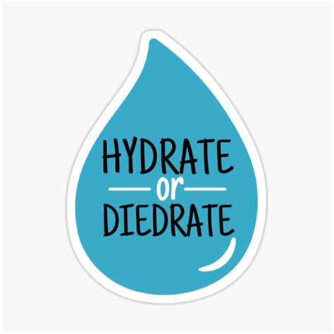 Hydrate Or Diedrate Drink More Water Stay Hydrated Quote Sticker For