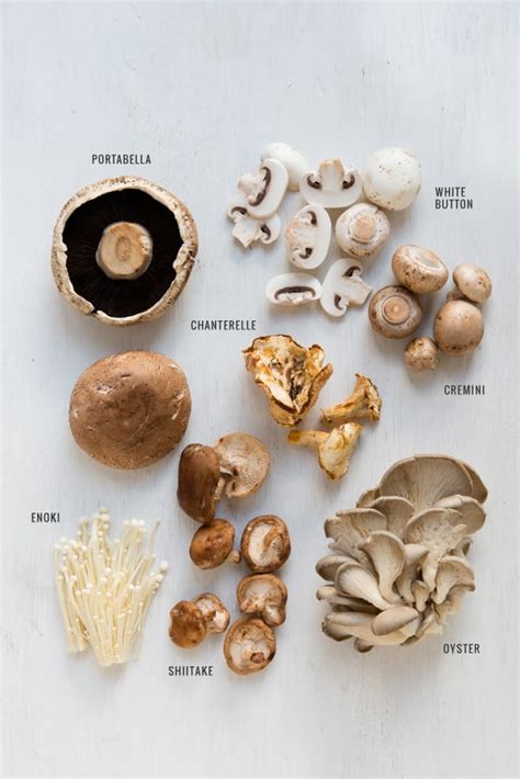 A Guide to Mushrooms