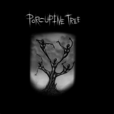 Porcupine Tree By Qadawra On Deviantart