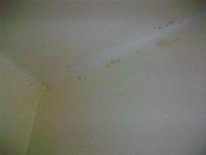 Zlute skvrny na zdi