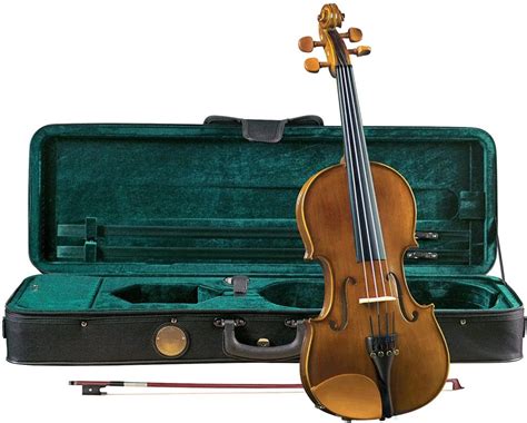 From Beginner To Pro Our 10 Favorite Cremona Violins On The Market