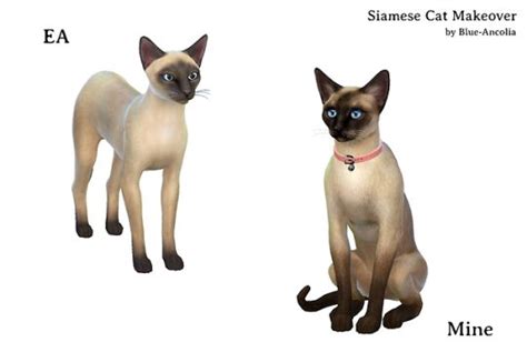 Blue Ancolia Sims Pets Sims 4 Pets Siamese Cats Images And Photos Finder