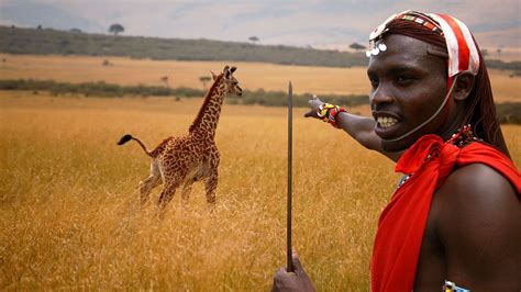 Les Maasaï Un Peuple Africain De Guerriers Semi Nomades Guerrière Africaine Maasai