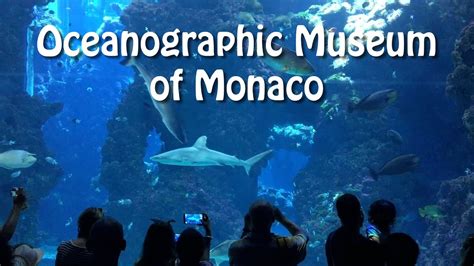 Monaco Oceanographic Museum Musée Océanographique De Monaco Youtube