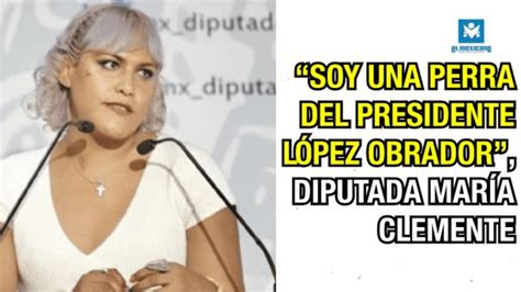 Soy Una Perra Del Presidente López Obrador Diputada María Clemente