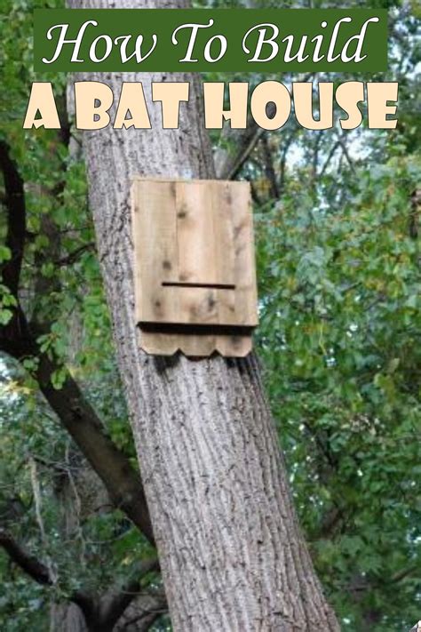 10 Diy Bat House Plans You Can Build Today Diyscraftsy