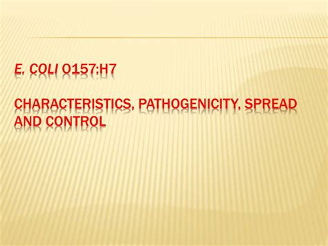Ppt E Coli O157 H7 Characteristics Pathogenicity Spread And Control Powerpoint Presentation