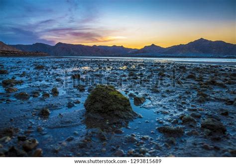 Yeti Beach Muscat Oman Stock Photo 1293815689 Shutterstock