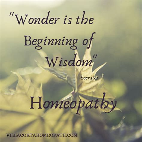 Wonder Is The Beginning Of Wisdom Homeopathy Quotes Health Quotes