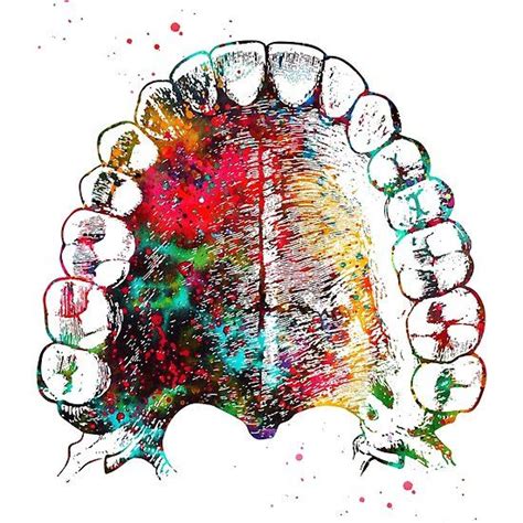Human Teeth By Erzebetth Dental Art Dentist Art Teeth Art