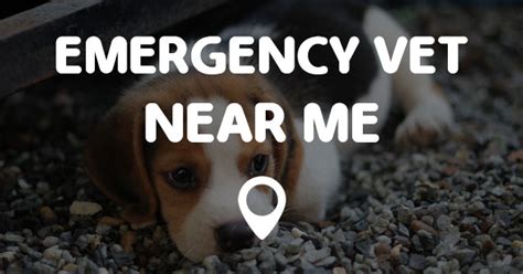 Vets now is your pet emergency service, providing dedicated emergency and critical care for your pet, whenever you need it most. EMERGENCY VET NEAR ME - Points Near Me