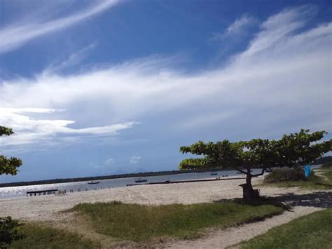 Ilha De Superagui Natureza Preservada E Praias Deslumbrantes No