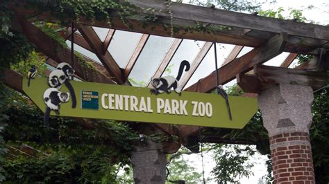 Ingressos para o Zoológico do Central Park Hellotickets