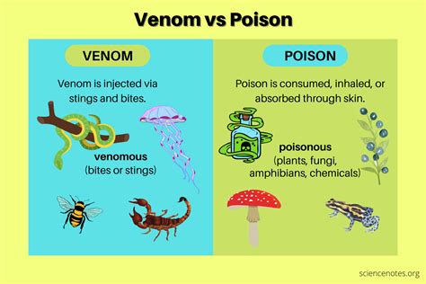 Venom Vs Poison Difference Between Venomous And Poisonous