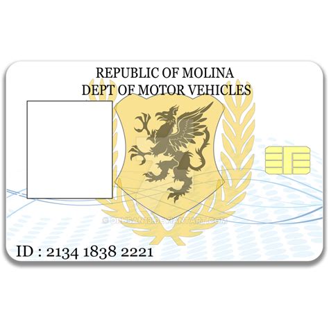 Molina Dmv Id Card By Drusan13 On Deviantart