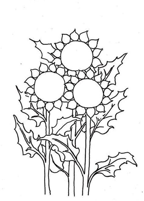 Ide Terpopuler 15 Sketsa Bunga Matahari Berwarna