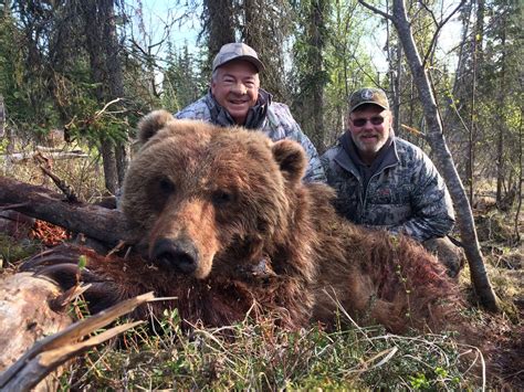 Rws Guide Service 1x1 Guided 10 Day Alaska Brown Bear Hunt