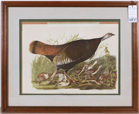 John James Audubon Wild Turkey Mutualart