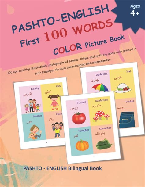 Buy Pashto English First 100 Words Color Picture Book Pashto
