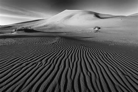 Lines In The Sand Photograph By Mike Lang Fine Art America