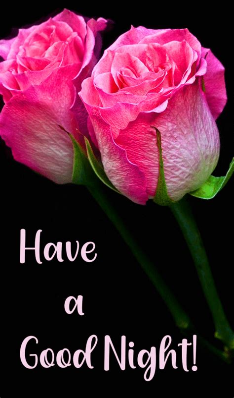 33 Pink Rose Flower Good Night Images Good For Lovers