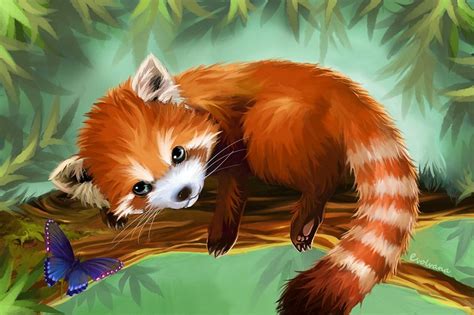 How to draw a red panda cute. Red Panda by Evolvana on DeviantArt