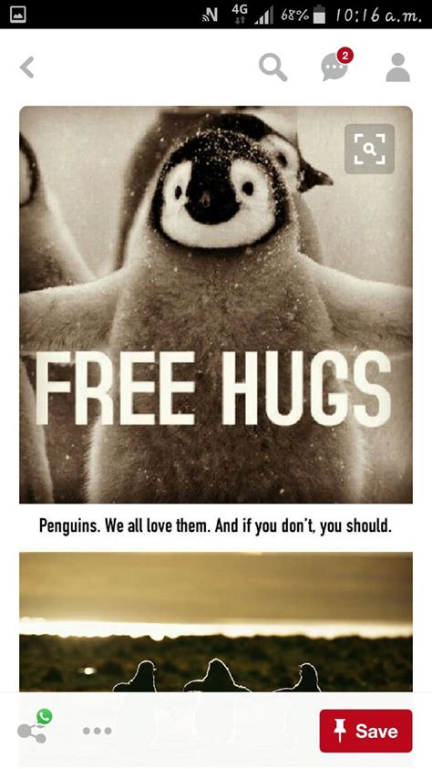 Pin By Nikki Jane Rogers On Penguins Free Hugs Penguins Love Is All