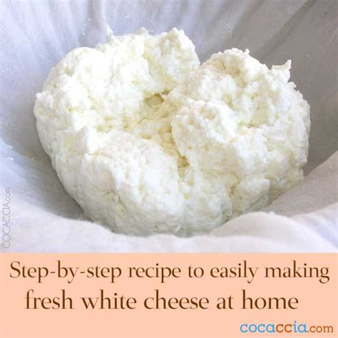 How To Make Cheese Lightning Fast Step By Step Instructions