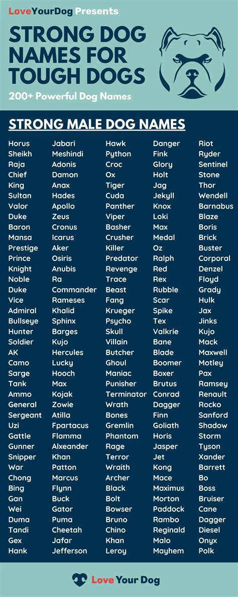 Tough Dog Names 200 Strong And Powerful Names For Male Dogs