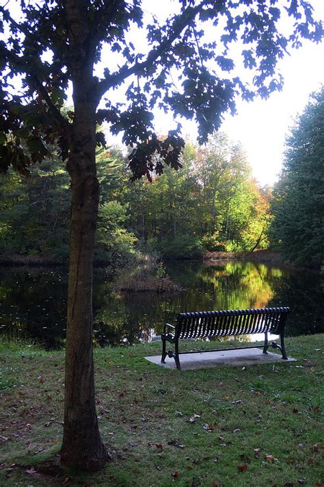 Roosevelt Pond Stratford Ct Photograph By Thomas Henthorn