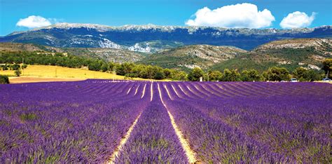 Kurzurlaub Provence Alpes Côte Dazur Hotels Bis Zu 60 Günstiger Buchen