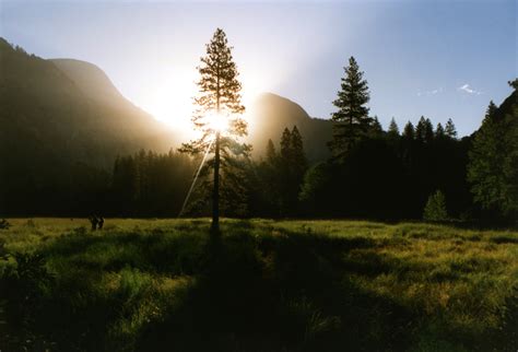 Free Images Landscape Tree Nature Grass Wilderness Mountain