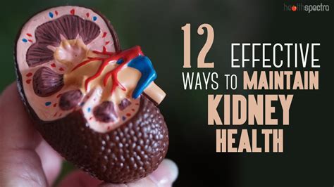 12 Effective Ways To Maintain Kidney Health Healthspectra Youtube