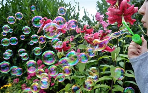 The Amazing Science Behind Blowing Long Lasting Bubbles Hobbylark