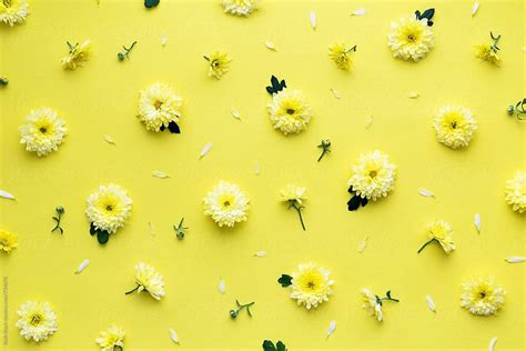 Idea By Praveen Netha On Praveen Yellow Flower Wallpaper Flower
