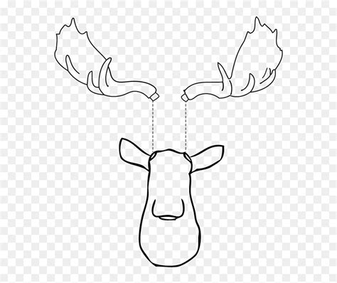 Inserting Moose Antlers Front View Sketch Hd Png Download Vhv