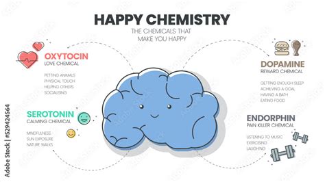 Happy Chemistry Infographic Has 4 Types Of Chemical Hormones Such As Oxytocin Love Serotonin