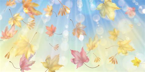 Flying Autumn Leaves Stock Vector Illustration Of Season 154143528