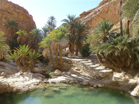 Things To Do In Tozeur Trips And Tours In Tozeur Tozeur Tunisia Trips