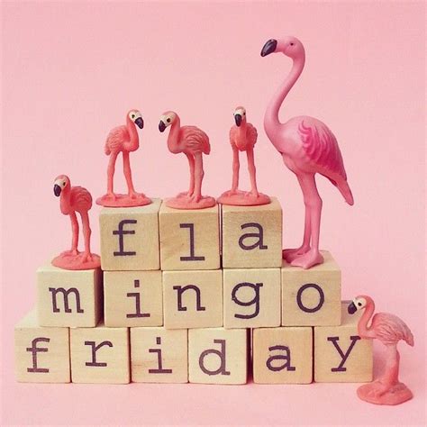 Pink Flamingo Figurines Sitting On Top Of Blocks That Spell Out The