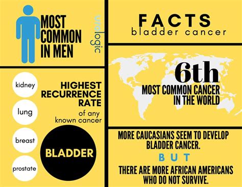 Where Does Bladder Cancer Spread To First ️ Updated Guide 2022